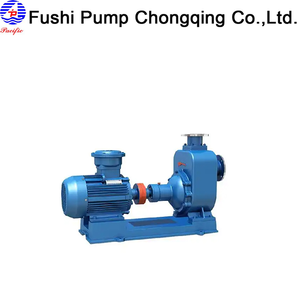 Cast Steel Centrifugal Ballast Pump